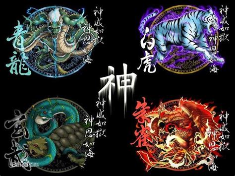 四宮青龍|「青龍、白虎、朱雀、玄武」四聖獸的來龍去脈